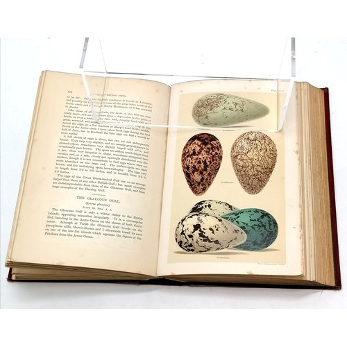 238 - 1896 book - Coloured figures of the eggs of British Birds by Henry Seebohm ~ has some toning