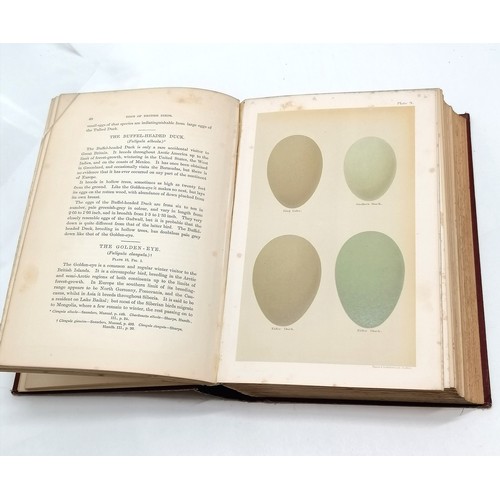 238 - 1896 book - Coloured figures of the eggs of British Birds by Henry Seebohm ~ has some toning