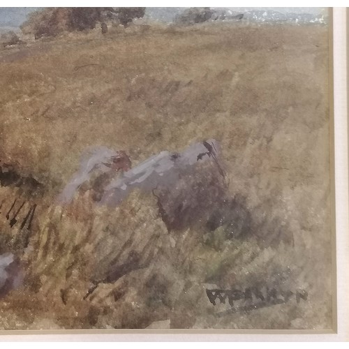 380 - Framed watercolour painting of Bodmin moor by William Samuel Parkyn (1875-1949) - frame 54cm x 71cm