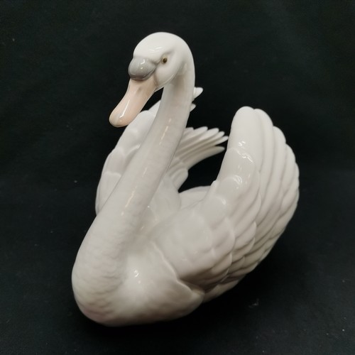 397 - Lladro Swan 20 cm wide, 19 cm high, t/w another 23 cm high, both good condition.