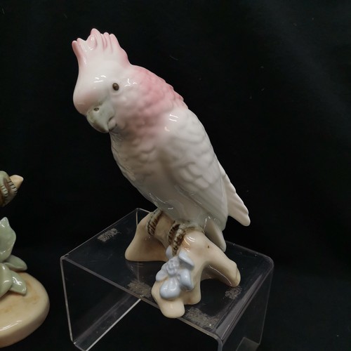 407 - Royal Dux Cockatoo, 41 cm high, t/w smaller cockatoo, 17 cm high, both in good condition.