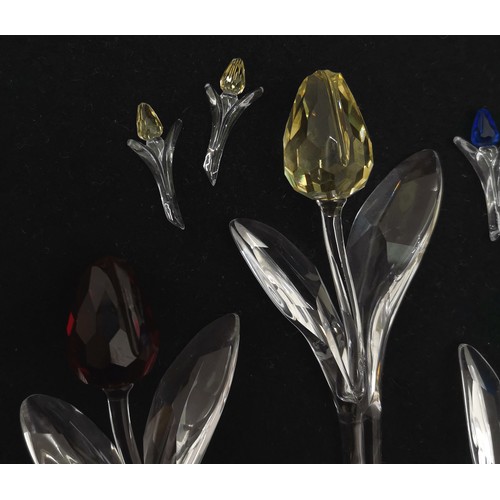 409 - Swarovski Crystal set of 3 tulips, 9 cm length, t/w 8 miniature tulips 1 a/f