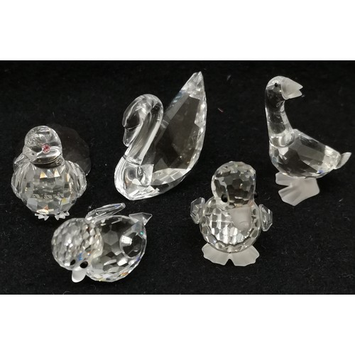 418 - Collection of Swarovski crystal birds to include swan, 5 cm high, goose, dove and 2 ducks, all good ... 