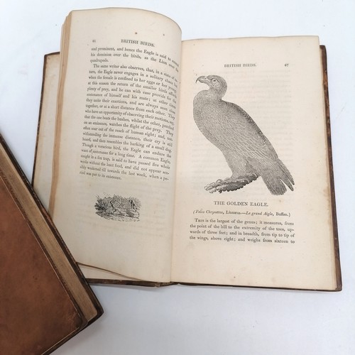 498 - 1821 pair of books - A History of British Birds with wood engravings by Thomas Bewick (1753–1828) ~ ... 