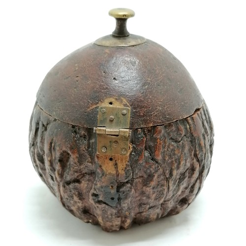 539 - Antique box made from a husk of a nut with hinged lid and brass fittings - 12cm high and has old rep... 