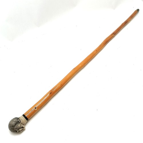 579 - Novelty walking stick with badger detail handle - 91cm long ~ brass ferrule slightly perished