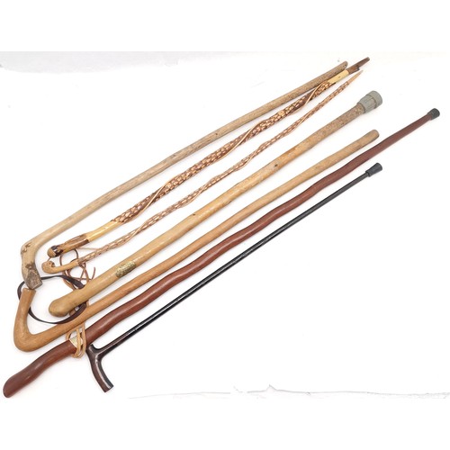 580 - 7 x wooden walking sticks - longest 120cm