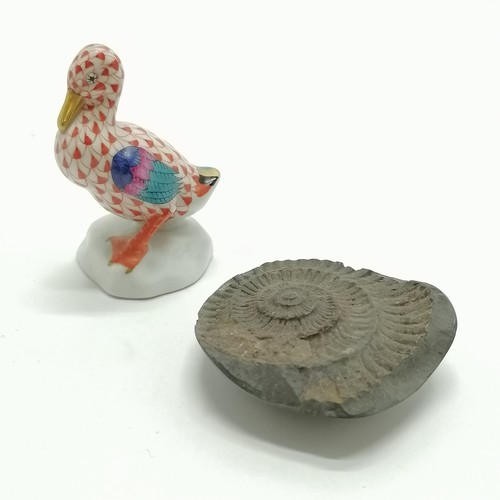 120 - Herend duck figure (6.5cm) t/w dactiliocelas ammonite from Whitby