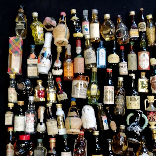 144 - 98 x miniature collection of spirits, liqueurs etc inc Oban whisky, Drambuie, Calvados, Dimple, Bush... 