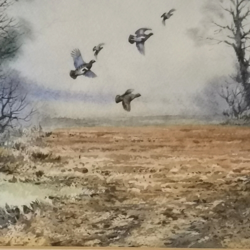 218 - Brian C Day watercolour of country scene grouse in flight, signed and framed, 54 cm wide, 44 cm high... 