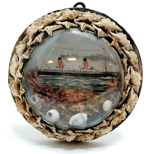 59 - Campania vintage shell decorated wall diorama with seaweed detail & with domed glass to centre - 15c... 