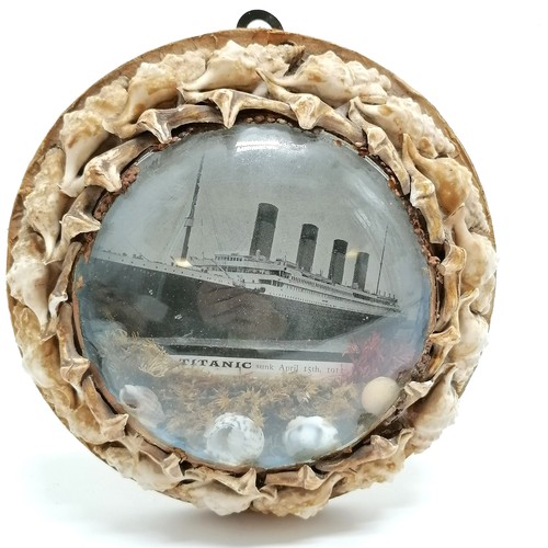 60 - Titanic vintage shell decorated wall diorama with seaweed detail & with domed glass to centre - 15cm... 