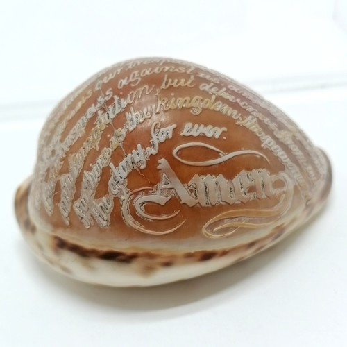 61 - Antique hand carved cowrie shell with Lords prayer - 9cm