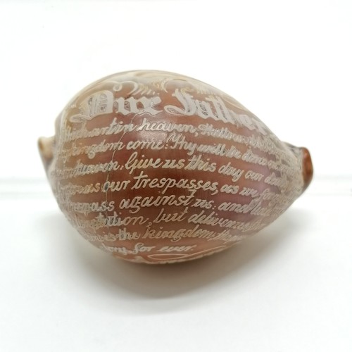 61 - Antique hand carved cowrie shell with Lords prayer - 9cm