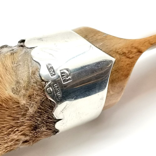 5 - Taxidermy antique otter paw handled beech page turner with silver collar by Fraser Ferguson & MacBea... 