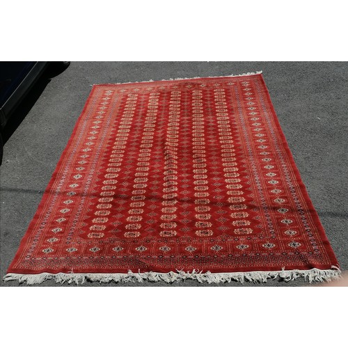 92 - Large Pakistani Bokhara late 20th century carpet in red. Measures 302 x 225cm. In good used conditio... 