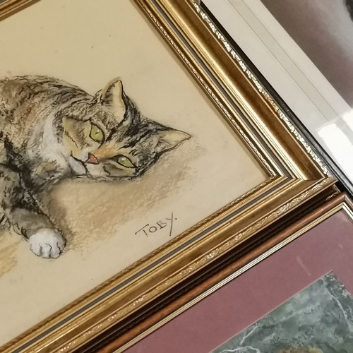 218 - Collection of assorted Pictures and paintings of assorted cats.