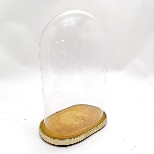 253 - Vintage glass display dome on a brass and covered base - dome 19.5cm x 12.5cm x 30cm high