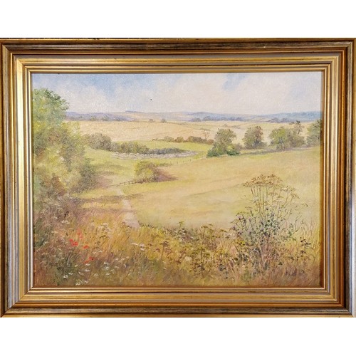 209 - Pamela Hughes oil painting on canvas of a pastoral scene 'High Summer' - frame 38cm x 48cm