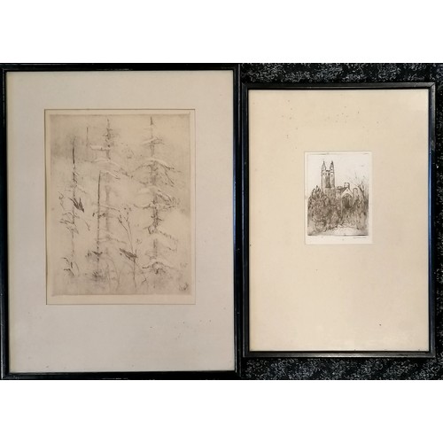 212 - 2 x framed etchings by L G Morrison - largest frame 39cm x 30cm ~ both have some toning