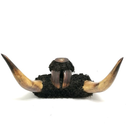 217 - Unusual table snuff box made from cow horns, hoof & fur - 43cm across & 25cm high ~ slight a/f to li... 