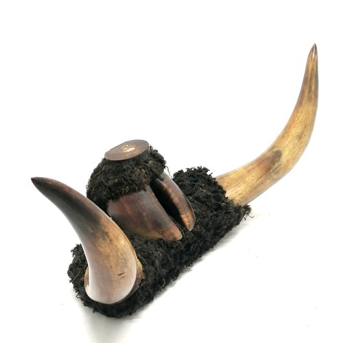 217 - Unusual table snuff box made from cow horns, hoof & fur - 43cm across & 25cm high ~ slight a/f to li... 