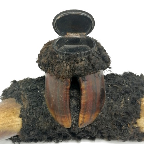 217 - Unusual table snuff box made from cow horns, hoof & fur - 43cm across & 25cm high ~ slight a/f to li... 