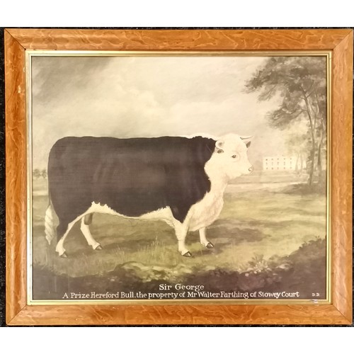 Lot 259       