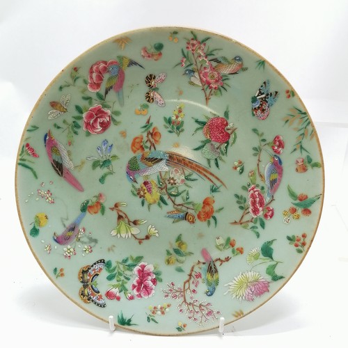 41 - Pair of antique Chinese Cantonese plates with profuse bird & flower decoration - 25.5cm diameter & b... 