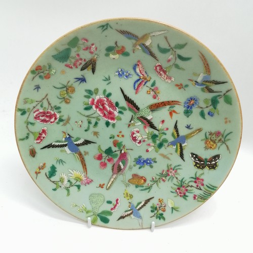 41 - Pair of antique Chinese Cantonese plates with profuse bird & flower decoration - 25.5cm diameter & b... 