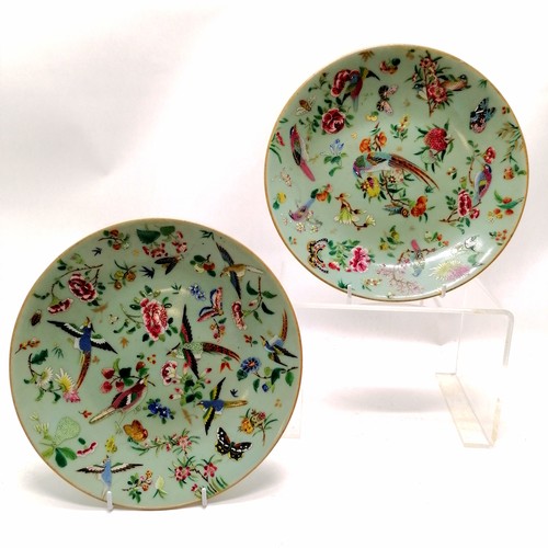 41 - Pair of antique Chinese Cantonese plates with profuse bird & flower decoration - 25.5cm diameter & b... 