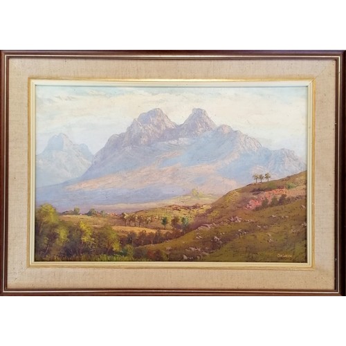 61 - Jan de Leeuw (1908-1988) oil on canvas of a South African pastoral scene, signed bottom right, frame... 