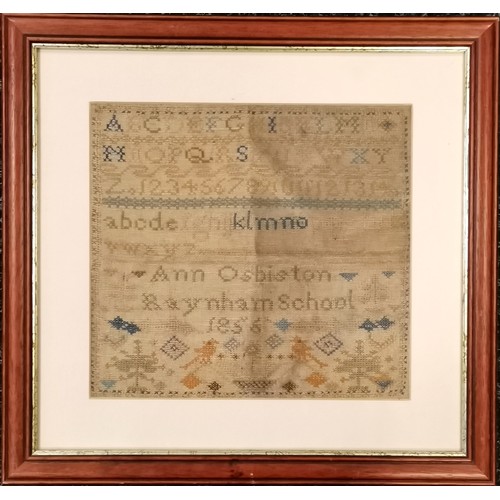 116 - Antique framed needlework Alphabet sampler by Ann Osbiston, Raynham School 1856, 43cm square, staine... 