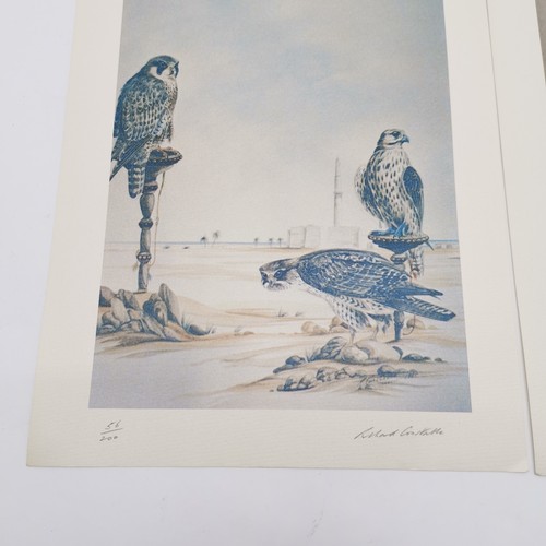 128 - 3 x signed prints of falcons - 2 by B Ryder & 1 by Richard Constable (1932-2015) - 37cm x 28cm ~ all... 