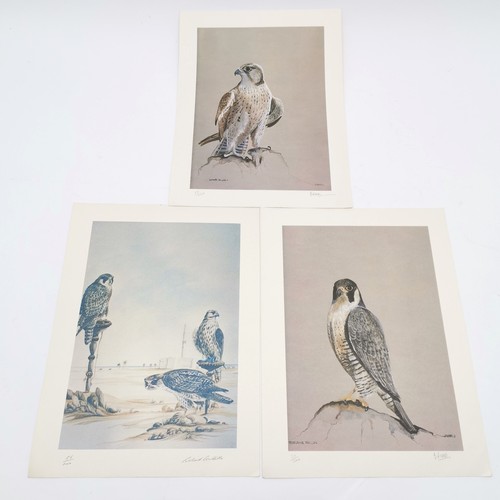 128 - 3 x signed prints of falcons - 2 by B Ryder & 1 by Richard Constable (1932-2015) - 37cm x 28cm ~ all... 