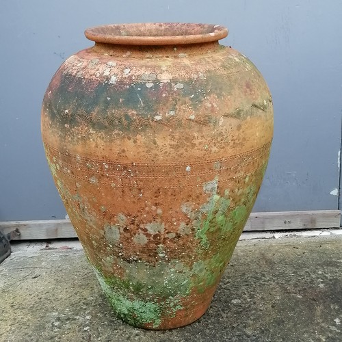 42 - Terracotta amphora urn 65cm high x 46cm diameter - slight crack to the base