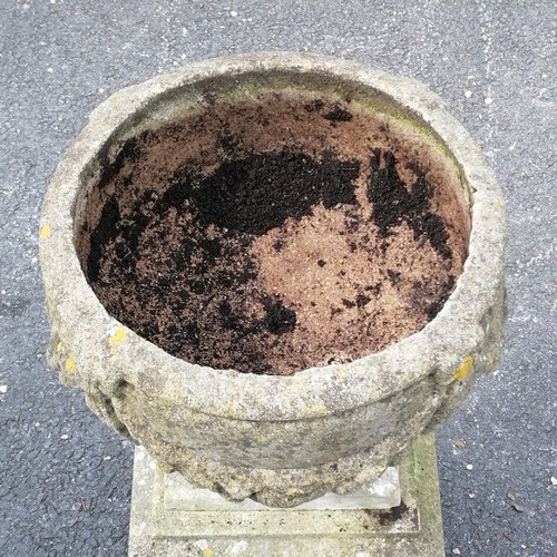 113 - Circular planter on a square pedestal base 33cm x 33xm total height 73cm