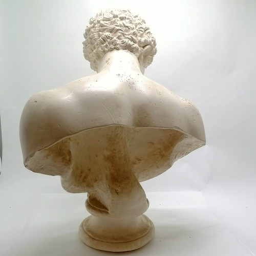 243 - Antique Musée central des arts classical museum plaster copy bust of a male - 70cm ~ has slight loss... 