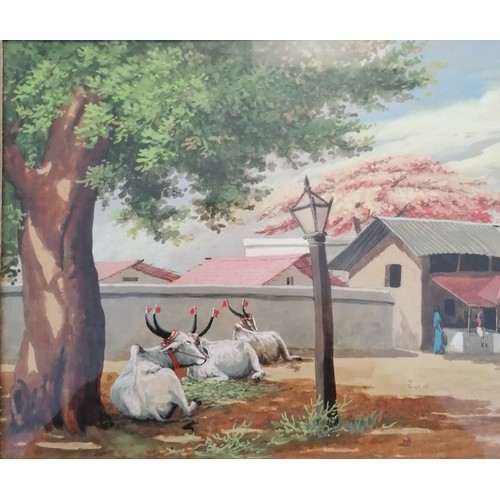 290 - Original Indian signed painting of village life inc zebu - frame 27cm x 53cm