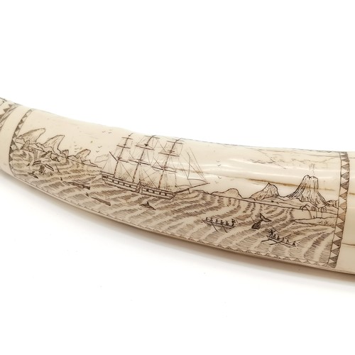 416 - Reproduction scrimshaw style tusk depicting the whaler Ionia - 42cm long