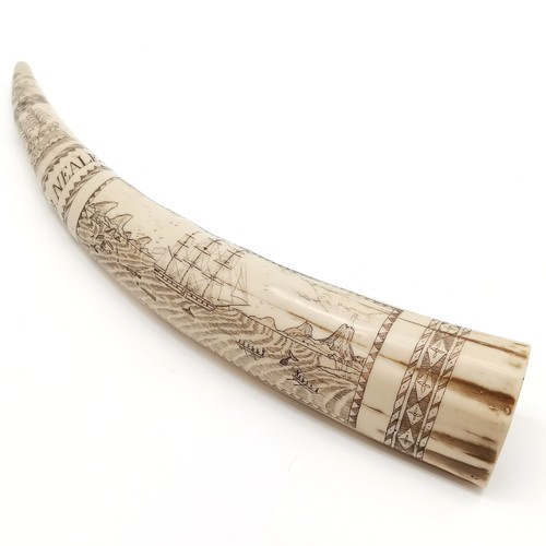 416 - Reproduction scrimshaw style tusk depicting the whaler Ionia - 42cm long