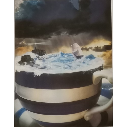 160 - Storm in a teacup hand signed photograph - mount 50cm x 60cm and has some marks and blemish to photo... 