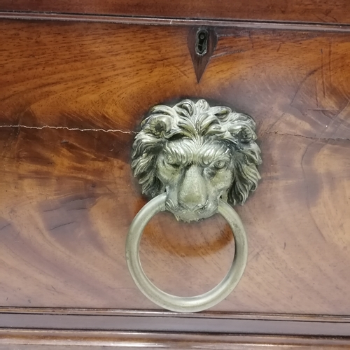 214 - Antique Regency Flame mahogany cellarette / wine cooler with carved lion hairy paw feet, brass lions... 