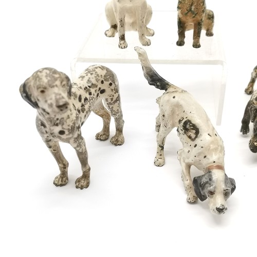 250 - 5 x antique large cold painted bronze dog figures inc Dalmatian (8cm high x 8cm across), Jack Russel... 