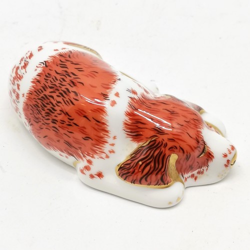 70 - Royal Crown Derby puppy paperweight - no obvious signs of damage - 9cm long