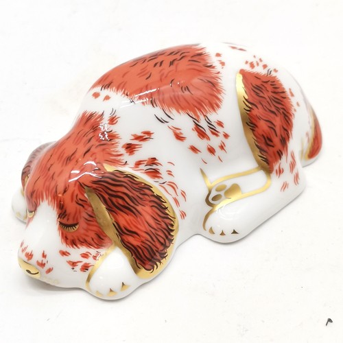 70 - Royal Crown Derby puppy paperweight - no obvious signs of damage - 9cm long