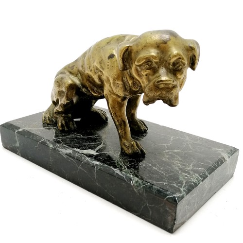 199 - Antique bronze sculpture of a seated dog on a black marble base 17cm x 9cm x 12cm high - small chip ... 