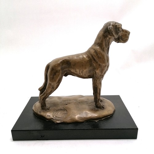 200 - E. Kuolikis bronzed Great Dane dog figure on a wooden base 16cm high - no obvious damage