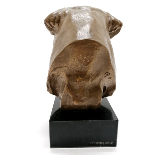 205 - Artdog limited edition bronzed bulldogs head on a black marble base 19cm high x 85cm x 8.5cm - no ob... 