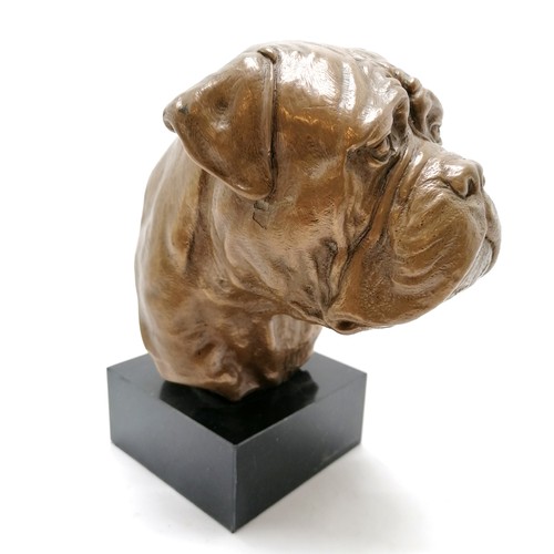 205 - Artdog limited edition bronzed bulldogs head on a black marble base 19cm high x 85cm x 8.5cm - no ob... 